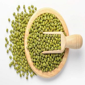 Haricots mungo verts frais de haute qualité en gros d'usine de qualité alimentaire 10kg pour l'exportation - Product Image 1