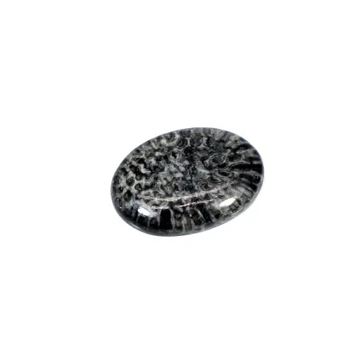 Cabochon ovales de couleur corail noir naturel de haute qualité, pierres précieuses amples, 24x17mm, Ishu, 19.80 tf, IG16660