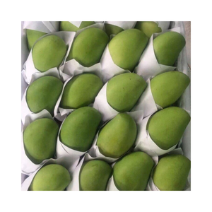Vente en gros de mangue fraîche du Vietnam avec goût sucré et chair juteuse offerte à un prix d'exportation compétitif pour les acheteurs - Product Image 6