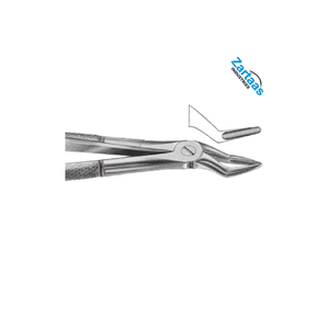 Pince d'extraction dentaire en acier inoxydable de haute qualité Fig 35 pour le fabricant d'instruments dentaires de racines supérieures - Product Image 2