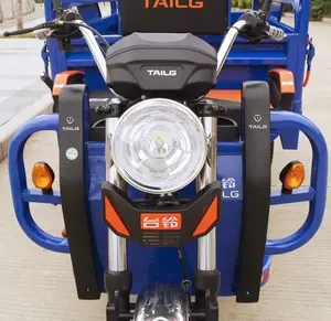 नई डिजाइन कार्गो स्टेनलेस स्टील बंद वाहन ट्राइसाइकिल 4 सीट पिकअप एक इलेक्ट्रिक कार शानदार कीमत के साथ