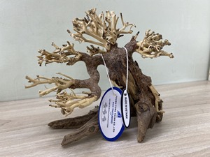 Bonsaï en bois flotté fait main, best-seller, décoration d'aquarium, forme irrégulière, pour aquarium en acier inoxydable, fabriqué au Vietnam - Product Image 3