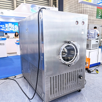 Groente Vacuüm Vriesdroogmachine Aardbei Vijg Fruit Professionele Voedsel Dehydrator Machine voor Fruit, Groenten en Bloemen
