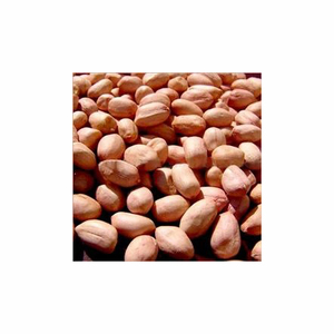 Arachides décortiquées salées grillées de haute qualité séchées sacs de noix de saveur d'ail de noyau cru pour un stockage pratique - Product Image 6