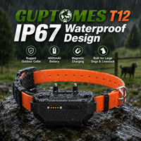 GUPTOMES Traceur GPS 4G étanche pour chien de chasse, Système de clôture GPS pour collier de chien - Capteur de mouvement intelligent 3 axes, Bip sonore et lumineux