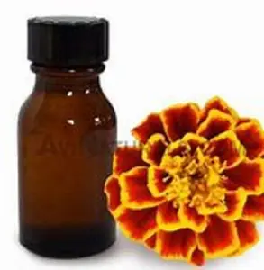 Top Class Tagetes Oil 100% Pure Premium Quality Top Grade Reasonable Price Timely Delivery Best offer from Indian Supplier
