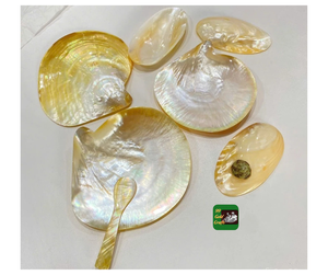 Placa de concha de nácar dorada exquisita Placa de concha de nácar dorada para servir en fiestas, mesa de boda, placa de perlas Vietnam - Product Image 1