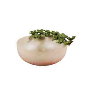 Elegante Tazón de Aluminio Pulido con Recubrimiento Dorado para Frutos Secos, Decorativo y Duradero, Ideal para Fiestas - Product Image 2