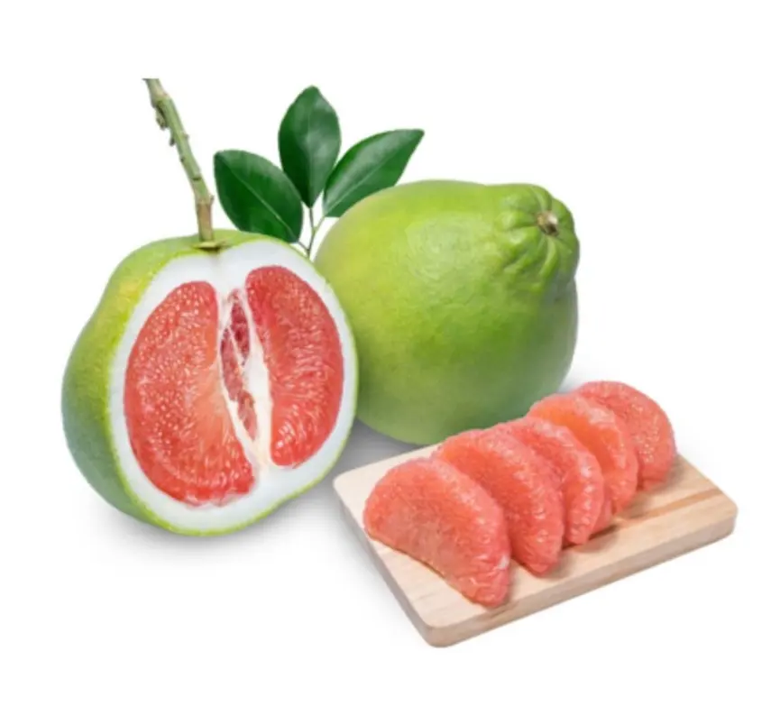 Dijual pomelo jeruk Bali standar ekspor organik Non GMO 100% tanpa biji dan daging merah madu pomelo