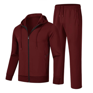 Logo personnalisé Vente en gros Survêtement en polaire Hommes Jogger Survêtement Grande Taille Automne Survêtement à fermeture éclair - Product Image 1