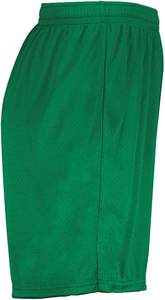 Custom Summer Breathable Brand Sweat <b>Shorts</b> Men's Polyester <b>Elastic</b> <b>Waist</b> <b>Plus</b> <b>Size</b> Print Logo Brand Mesh <b>Shorts</b> - Product Image 5