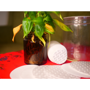 Vietnam Manufacturer's Non-Spill White Pressure Sensitive Foam Liner <b>Bottle</b> Stopper for Food & Pharmaceutical Use - Product Image 3