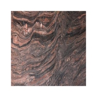 Nouvelle conception luxueuse de la meilleure qualité Densité 2cm 70ups x 240ups Tuile tropicale de granit de pierre de marbre d'or d'Inde