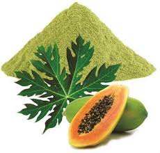 POLVO DE HOJA DE PAPAYA/IMPULSO DE VITAMINA C/ETIQUETA LIMPIA/SOSTENIBLE - Product Image 4