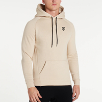 Vente en gros de sweats à capuche personnalisés promotionnels sweat à capuche Slim Fit en polyester surdimensionné en éponge française poids lourd taille plus