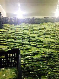 การสร้างแบรนด์แบบกำหนดเองอะโวคาโดหั่นสี่เหลี่ยมลูกเต๋า OEM - Product Image 4