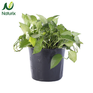 Sacs de pépinière en plastique Pot de fleurs utilisé avec fleur/<span class=keywords><strong>plante</strong></span> verte plantation ronde semis moderne pour plantes vente en gros épaissi noir - Product Image 5