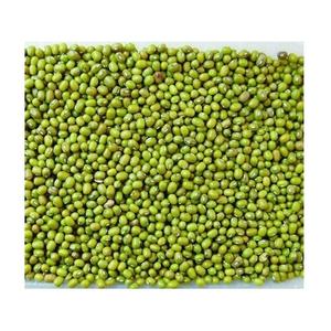 Wholesale Supplier Of Bulk Fresh Stock of Green Mung <b>Beans</b> / Whole Moong <b>Beans</b> - Product Image 2