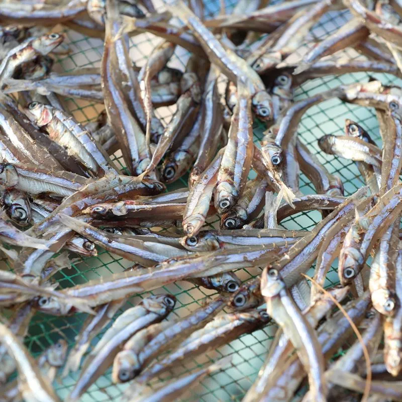 Vente en gros d'anchovys séchés du Vietnam, fruits de mer séchés (ananas)-prêt à être expédié