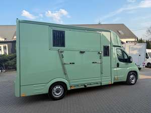 Nuevo camión transportador de caballos Toyota ProAce Max, 5 plazas, nuevo, transmisión manual, camión para ganado - Product Image 3