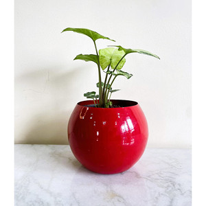 Petits Pots de fleurs argentés avec support pour la décoration de la maison et du jardin Pots de jardinières en métal avec nickelage plaqué à bas prix - Product Image 5