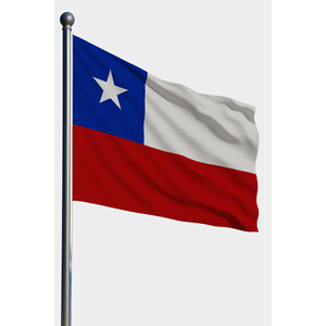 Drapeau de voiture imprimé numériquement pour l'assurance automobile - Mât en aluminium et fibre de verre, tissu en vinyle polyester plastique durable, soie - Product Image 1