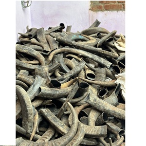 Bâton à mâcher en bois de cerf Sika de qualité supérieure, jouet naturel pour chien, fabriqué en Inde, corne de buffle, fabricant direct - Product Image 2