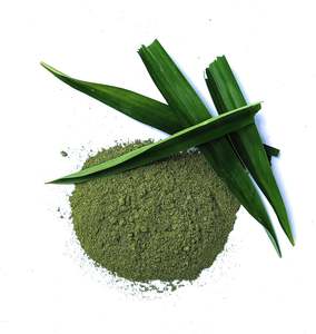 ผงใบปาณฑะแห้งสกัดจากใบปาณฑะขายส่ง - Product Image 2