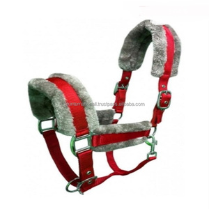 Licol pour cheval en nylon réglable multicolore rembourré en polaire Rugged Ride en taille pleine cob avec anneaux de boucle en acier inoxydable - Product Image 1