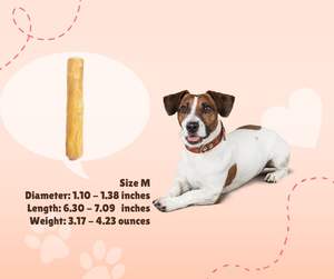 100% bois de café naturel chien bâtons à mâcher et jouets Hoang Linh SG marque Lam Dong Vietnam vente en gros Mme Tammy + 1 763 353 5245 - Product Image 3