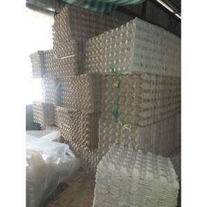 ถาดใส่ไข่เป็ดไก่กระดาษขนาดใหญ่แบรนด์100% สำหรับเวียดนามการเกษตรจิ้งหรีดหนอนมังกร - Product Image 1