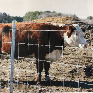 Vente chaude, clôture en fil de fer à nœuds fixes, clôture en maille pour bétail, clôture en maille pour terrain de paintball, 330 pieds, <span class=keywords><strong>pas</strong></span> <span class=keywords><strong>cher</strong></span>, en vrac - Product Image 3