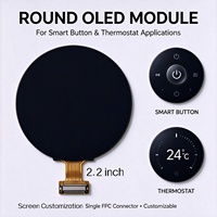 Écran OLED rond de 2,2 pouces, 480x480, 218 PPI, écran circulaire rigide LTPS pour bouton de commande de maison intelligente, commutateur OEM ODM personnalisé