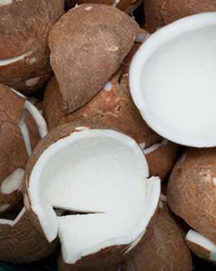 NOIX DE COCO SÉCHÉES DE QUALITÉ EXPORT / BIOLOGIQUE / ORIGINE VIETNAM - Product Image 4
