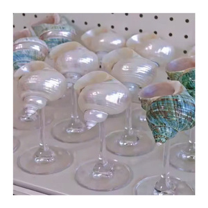 Taza de Caracol finamente elaborada con un diseño impresionante y alta durabilidad perfecta para uso decorativo y de comedor - Product Image 5