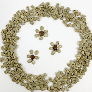 Origine vietnamienne S18 Robusta café vert Arabica torréfié usine Source prix de gros qualité fiable - Product Image 3