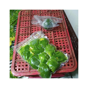 Aguacate congelado de alta calidad de Vietnam-Color verde brillante y aguacate congelado de carne recién cortada para compradores de exportación - Product Image 4