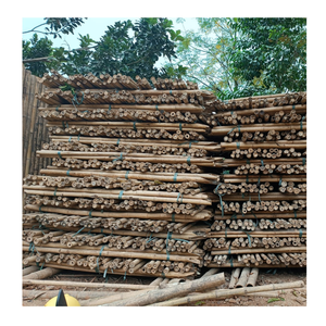 Poteaux en bambou naturels pour bordures de jardin et clôtures décoratives Poteaux en bambou solides pour projets d'aménagement paysager en plein air - Product Image 5