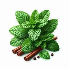 CLEAN LABEL PREMIUM HOJAS DE MENTA FRESCA INGREDIENTE BOTÁNICO A BASE DE PLANTAS PARA EL APOYO INMUNE Y LA SALUD NATURAL - Product Image 4