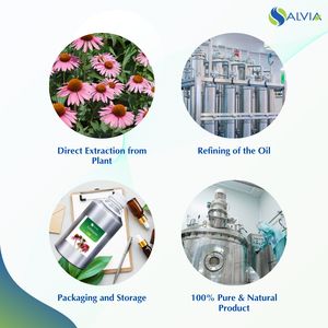 Suministro OEM de aceite esencial natural puro Echicacea 100% con embalaje personalizado a granel al por mayor para el cuidado de la salud - Product Image 4