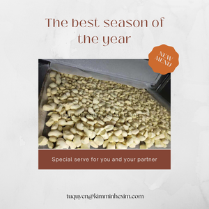 ขิงแช่แข็งคุณภาพส่งออกจากเวียดนามเป็นทางเลือกของตลาดต่างประเทศสำหรับผักแช่แข็ง - Product Image 5