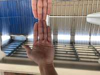 Plaque en acier inoxydable gaufré de qualité 316 / 304 / 430 |   Laminé à froid, épaisseur 0,5-3 mm |   pour une utilisation architecturale et décorative