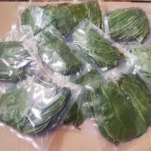 Meilleur choix en 2025 fait à la main 100% naturel biologique séché corossol feuille de thé de haute qualité en gros Agriculture forme directe usine - Product Image 4