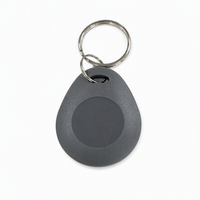Porte-clés RFID ABS avec numéro laser, 13,56 MHz, Classic 1K 4K ISO14443A, contrôle d'accès, porte-clés RFID IC