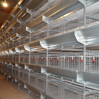 Système de cages à poulets en batterie 3, 4 ou 5 niveaux pour ferme avicole commerciale