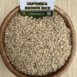 Arroz Orgánico para Sushi Marrón, 5% de Grano Partido, Textura Dura, Alternativa a los Alimentos Secos, Tipo Basmati, Llamado 'Riz', Origen Vietnam, Cosecha 2023 - Product Image 3