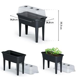 Fioriera alta Prosperplast Respana Ecoline con coperchio, realizzata in plastica color antracite, 74,9 (lunghezza) x 36,8 (larghezza) x 77,7 cm - Product Image 3