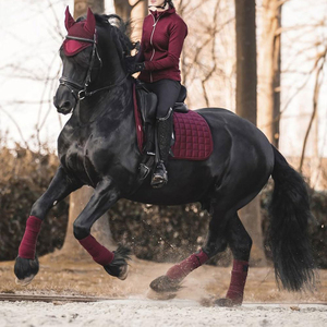 Vendas de neopreno para piernas de caballo, envolturas ecuestres personalizables, suministros de equitación de alta calidad disponibles en múltiples opciones de diseños - Product Image 2
