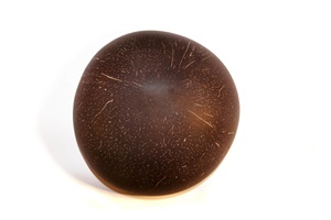 Bol en coquille de noix de coco naturel et écologique à prix compétitif bol à fruits en noix de coco de Viet Starlight - Product Image 3