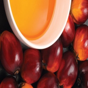 น้ำมันปาล์มดิบ (CPO) - Product Image 1